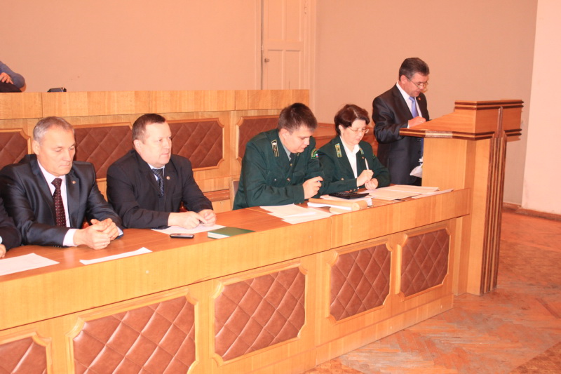 В Минприроды Чувашии прошел аукцион по продаже права на заключение договора купли-продажи лесных насаждений в целях заготовки елей и деревьев других хвойных пород для новогодних праздников